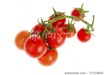 Branch with red cherry tomatoes isolated on white Branch with red cherry tomatoes isolated on white 57519085