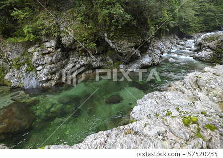 Mae Onikawa，Fudo Shichi no Taki Falls（奈良縣吉野郡下北山村） 57520235