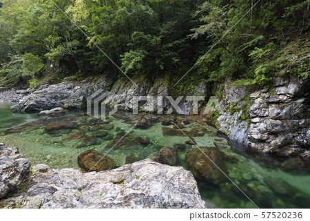 Mae Onikawa,Fudo Shichi no Taki Falls(奈良縣吉野郡下北山村) Mae Onikawa,Fudo Shichi no Taki Falls(奈良縣吉野郡下北山村) 57520236