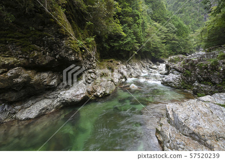 Mae Onikawa, Fudo Shichi no Taki Falls (Shimokitayama Village, Yoshino-gun, Nara Prefecture) Mae Onikawa, Fudo Shichi no Taki Falls (Shimokitayama Village, Yoshino-gun, Nara Prefecture) 57520239