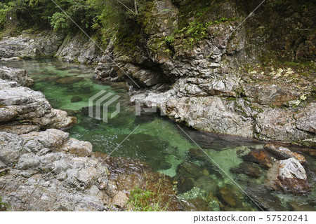 Mae Onikawa, Fudo Shichi no Taki Falls (Shimokitayama Village, Yoshino-gun, Nara Prefecture) 57520241