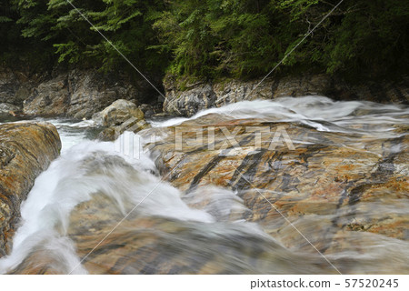 Mae Onikawa，Fudo Shichi no Taki Falls（奈良縣吉野郡下北山村） 57520245