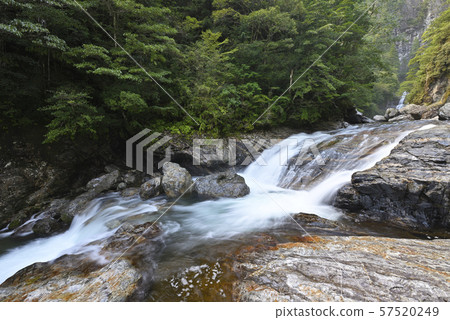 Mae Onikawa,Fudo Shichi no Taki Falls(奈良縣吉野郡下北山村) Mae Onikawa,Fudo Shichi no Taki Falls(奈良縣吉野郡下北山村) 57520249