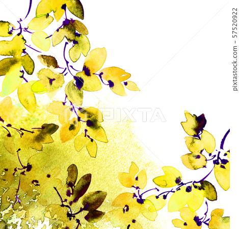 Watercolor and ink painted tree branch with leaves Watercolor and ink painted tree branch with leaves 57520922