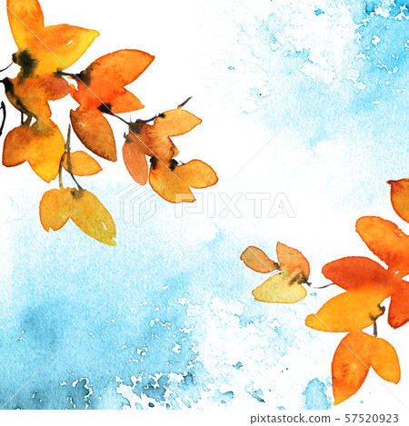Watercolor and ink painted tree branch with leaves Watercolor and ink painted tree branch with leaves 57520923