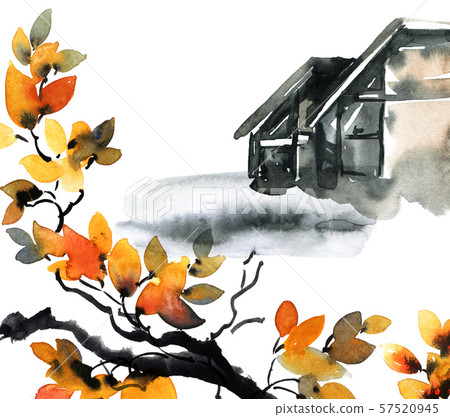 Modern house and tree Modern house and tree 57520945