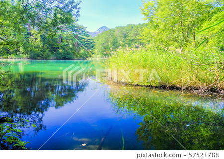 Bishamon沼澤的反思 Bishamon沼澤的反思 57521788