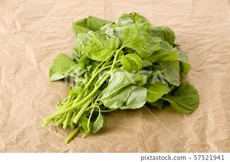 莧菜葉(葉菜) 莧菜葉(葉菜) 57521941