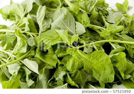 Amaranth leaves (leaf vegetables) up Amaranth leaves (leaf vegetables) up 57521950