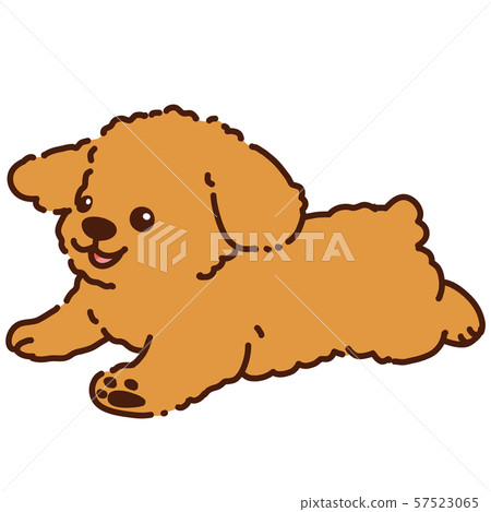Hand-drawn illustration of a running toy poodle with main lines Hand-drawn illustration of a running toy poodle with main lines 57523065