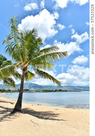 Holidays in Hawaii 57523329