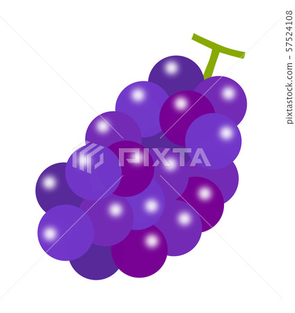 Grape Grape 57524108