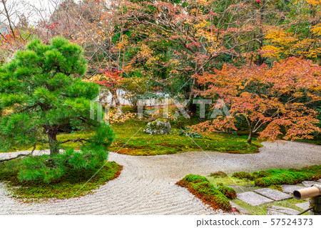 Main hall front yard 57524373