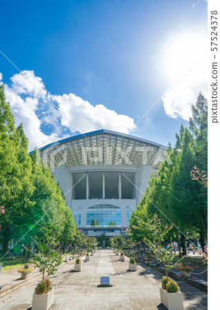 埼玉體育場2002 埼玉體育場2002 57524378