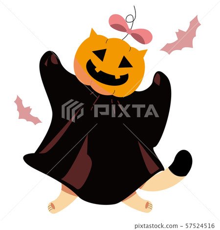 Cat Jack O Lantern enjoys Halloween 2 Cat Jack O Lantern enjoys Halloween 2 57524516