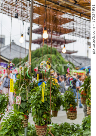 [Asakusa Senso-ji Temple Hoozukiki City] 57524951