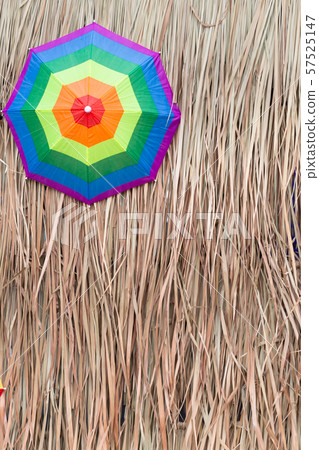 Colorful umbrella on dry leaf grass background Colorful umbrella on dry leaf grass background 57525147