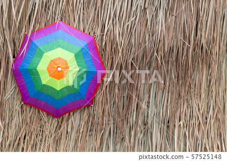 Colorful umbrella on dry leaf grass background Colorful umbrella on dry leaf grass background 57525148