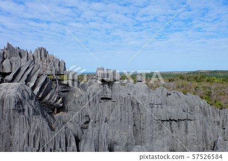 Tsingy de Bemaraha in Madagascar Tsingy de Bemaraha in Madagascar 57526584