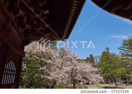 Main temple Takadayama Senshu-ji Temple Main temple Takadayama Senshu-ji Temple 57527294