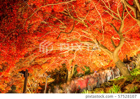 Daisenji Temple 57528107