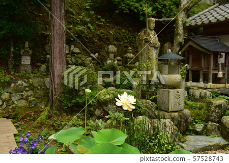 Lotus flower and Jizo Lotus flower and Jizo 57528743