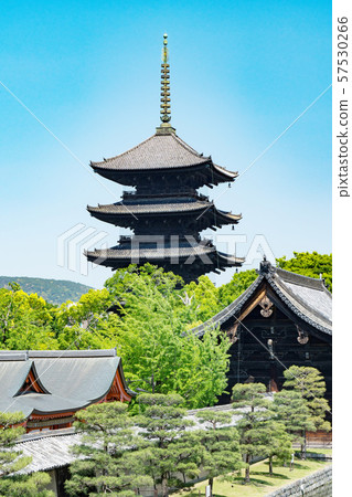 Toji Temple in Kyoto 57530266