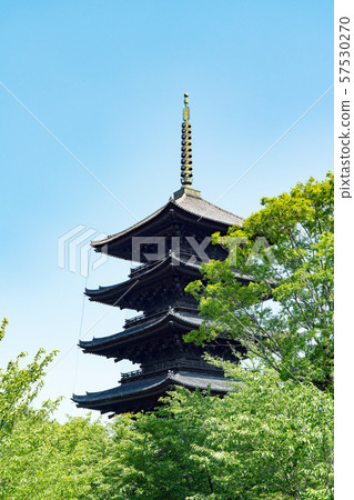 Toji Temple in Kyoto 57530270