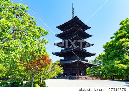 Toji Temple in Kyoto 57530278