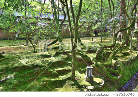 石川縣Natadera方法 57530746