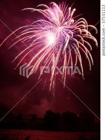 Koga style garlic large fireworks 2019 57531113