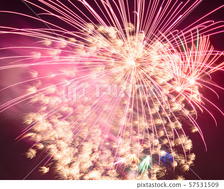 古賀式大蒜煙花2019 57531509