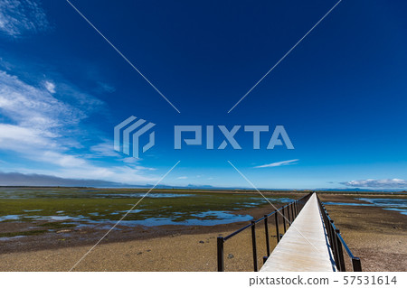 Todowara Todowara 57531614