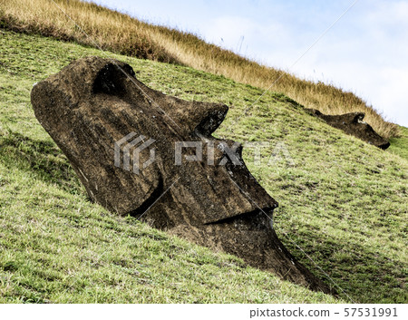 Moai Statues on Easter Island at the Rano Raraku Quarry 57531991
