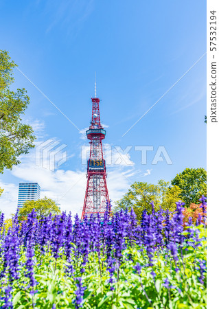 北海道夏季札幌大通公園和電視塔 57532194