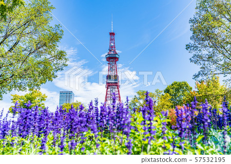 Hokkaido Summer Sapporo Odori Park and TV Tower 57532195