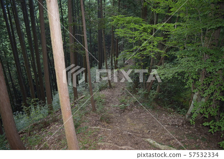 Togurayama Togurayama 57532334