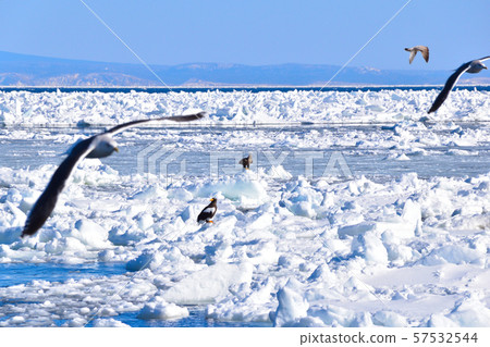 Drift Ice Oiso / Oshiro Pass Drift Ice Oiso / Oshiro Pass 57532544