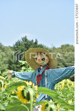 scarecrow scarecrow 57533697