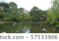 Ninnaji Temple 57533906