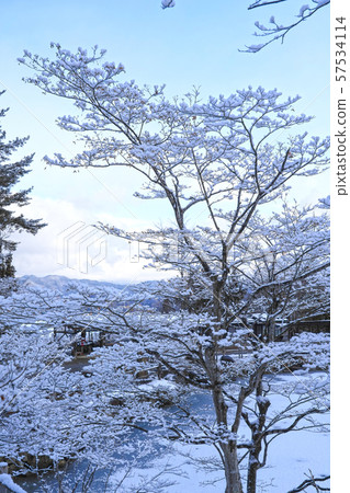 Snow Hida Folk Village Hida-no-Sato 57534114
