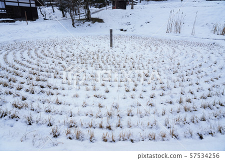 Snow Hida Folk Village Hida no Sato Kurumada Snow Hida Folk Village Hida no Sato Kurumada 57534256