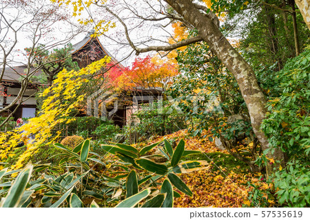 Hojo和Daishoin Tensho Hojo和Daishoin Tensho 57535619