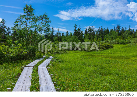 Ukishima Wetland:Kitazumi-gun的Tsugaike Nature Park Otari Village Ukishima Wetland:Kitazumi-gun的Tsugaike Nature Park Otari Village 57536060