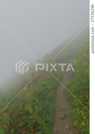 Climbing road in bad weather (gas / mist) 57536296