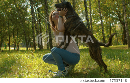 Dog and its owner sitting in the park Dog and its owner sitting in the park 57537148