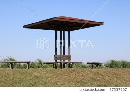 Landscape of Teganuma 57537307