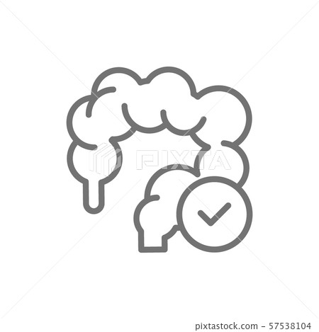 Healthy intestines, colon line icon. Isolated on white background 57538104
