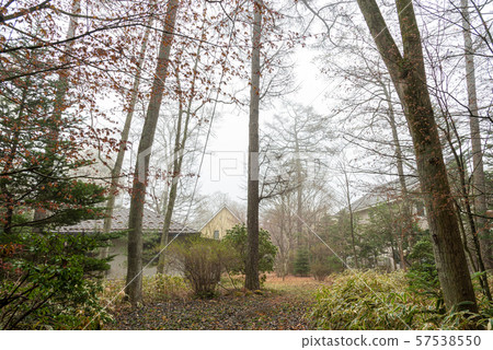 Karuizawa villa, Asagiri, townscape, beautiful scenery, beautiful photos, travel 57538550