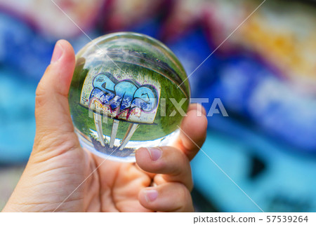 Pictures on the wall through the lensball Pictures on the wall through the lensball 57539264